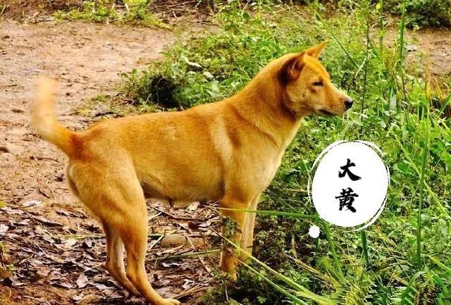 小明的故事搞笑小品视频，小明的故事搞笑小品全集