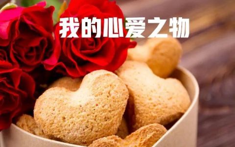 五年级上册第一单元作文我的心爱之物，五年级上册第一单元作文我的心爱之物400字