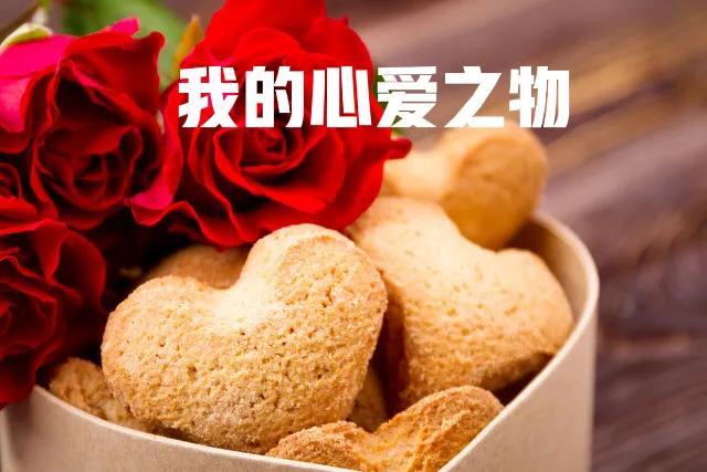 五年级上册第一单元作文我的心爱之物，五年级上册第一单元作文我的心爱之物400字