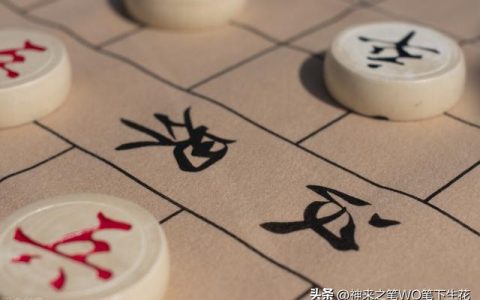 下象棋作文300字，下象棋作文300字三年级