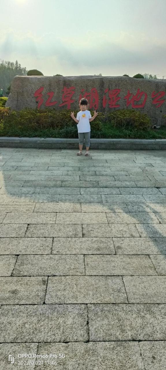 我最爱我的家人电视剧，我最爱我的家人电视剧剧情介绍