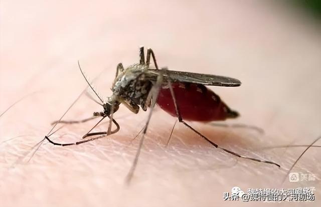 崭新的生活作文500字初一，崭新的生活作文500字初一记叙文