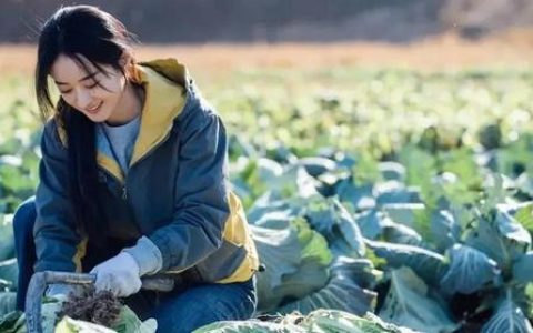 阳光女性,时代佳人，阳光女性,时代佳人征文