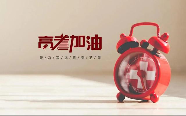高中生自我总结600字作文，高中生自我总结600字左右！