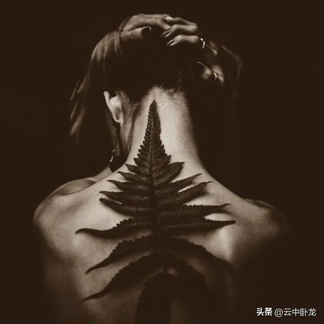 星星的故事儿童故事，星星的故事儿童故事文字版