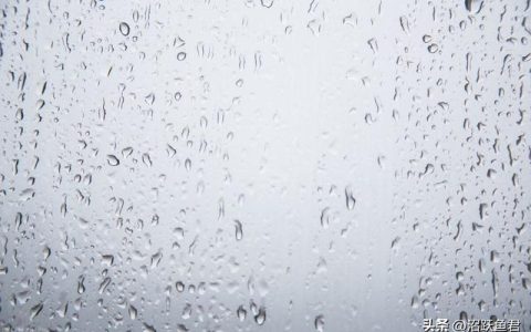雨的日记300字，秋天的雨的日记300字
