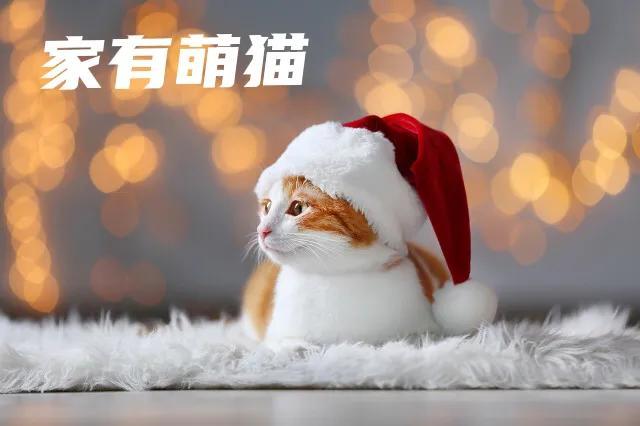五年级上册第一单元作文我的心爱之物，五年级上册第一单元作文我的心爱之物400字