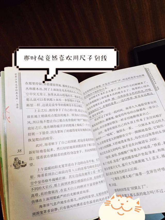 海蒂读后感400字左右，海蒂的读后感400字！