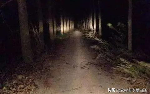 一个人走夜路作文500字作文，一个人走夜路作文600字初中！
