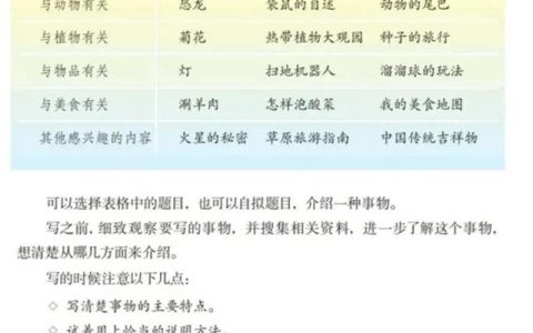 五年级上册语文第一单元作文400字，五年级上册语文第一单元作文400字我的心爱之物！