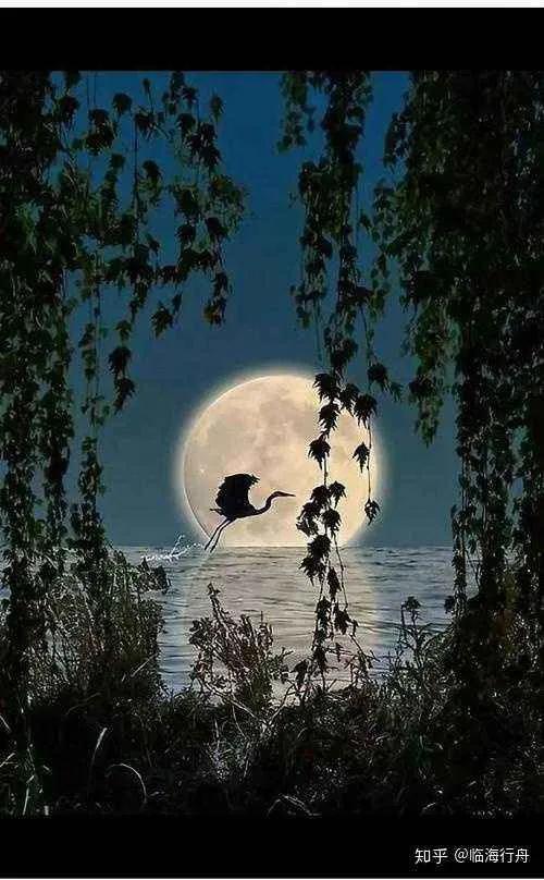 夜晚的句子唯美短句朋友圈，夜晚的句子唯美短句朋友圈图片！