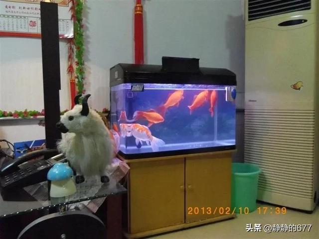 我妈（2）