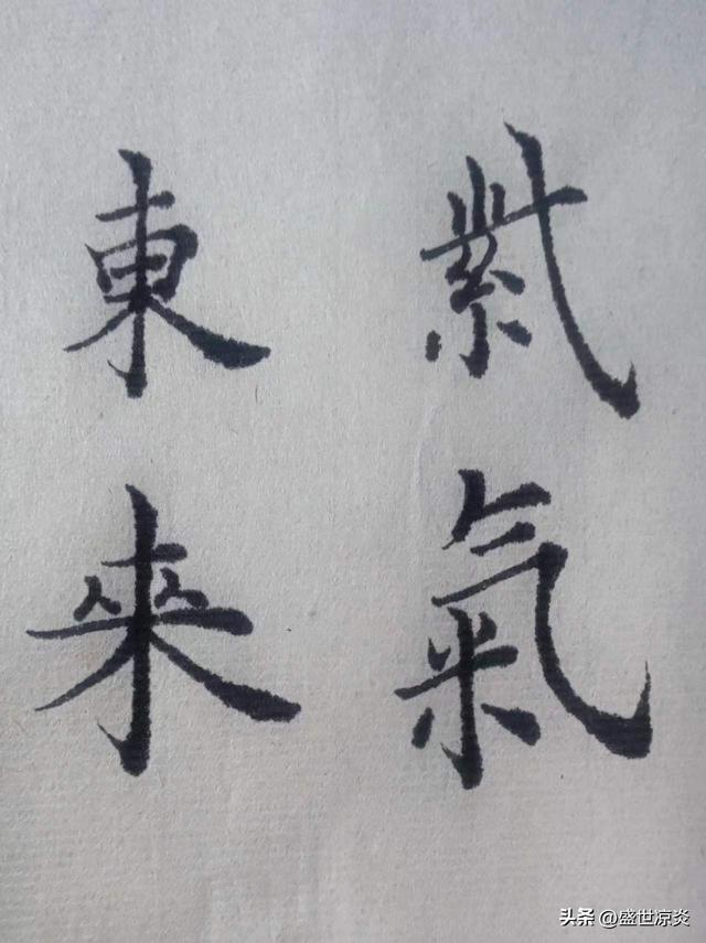 养花作文300字初中，养花作文300字周记！