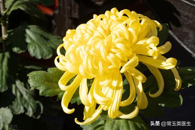 我想对妈妈说作文400字四年级，我想对妈妈说作文400字书信！