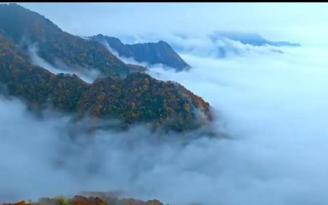 雨的声音怎么形容，雨的声音怎么形容词！