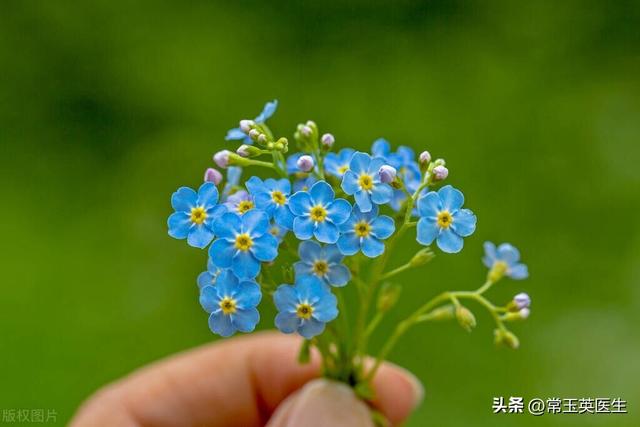 我想对妈妈说作文400字四年级，我想对妈妈说作文400字书信！