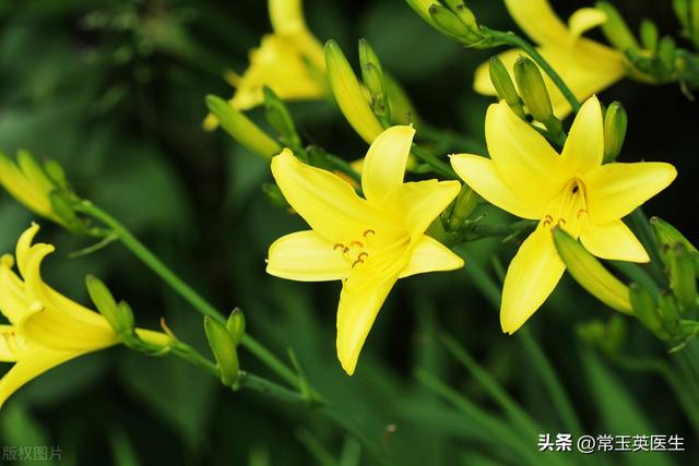 我想对妈妈说作文400字四年级，我想对妈妈说作文400字书信！