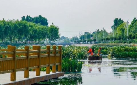 家乡新变化教案二年级道德与法治上册，家乡新变化教案二年级道德与法治下册！