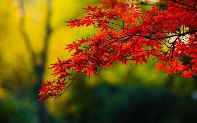 爱欲的“爱”字背后，为什么要和“欲”字相连？