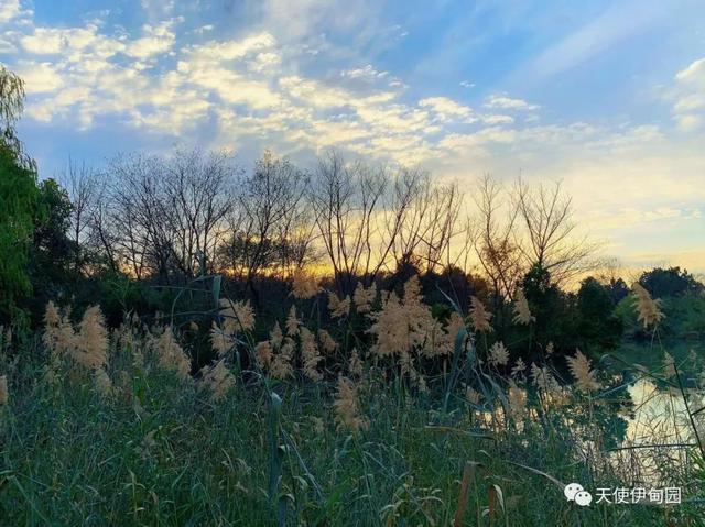 一厘米的阳光全文免费阅读，一厘米的阳光全文免费阅读无弹窗！