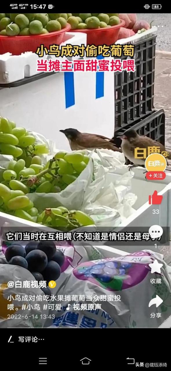 两个鸟的包是什么牌子,两个鸟的包包品牌!