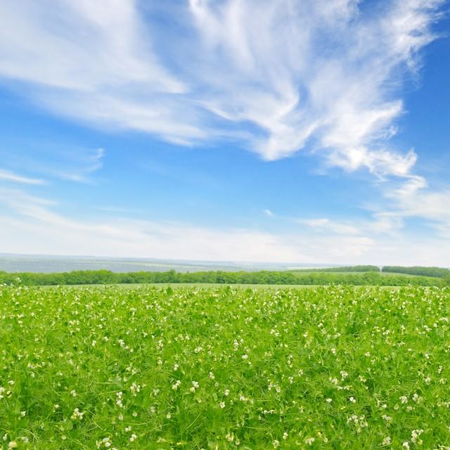 我收获了成功作文600字骑自行车，我收获了成功作文600字游泳！