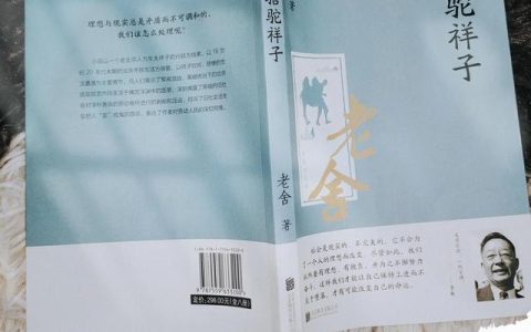 骆驼祥子读书笔记2000字，骆驼祥子读书笔记2000字大学篇！