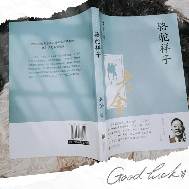 骆驼祥子读书笔记2000字，骆驼祥子读书笔记2000字大学篇！