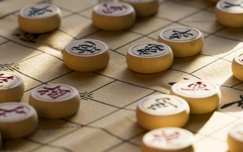 象棋作文300字，第一次下象棋作文300字！