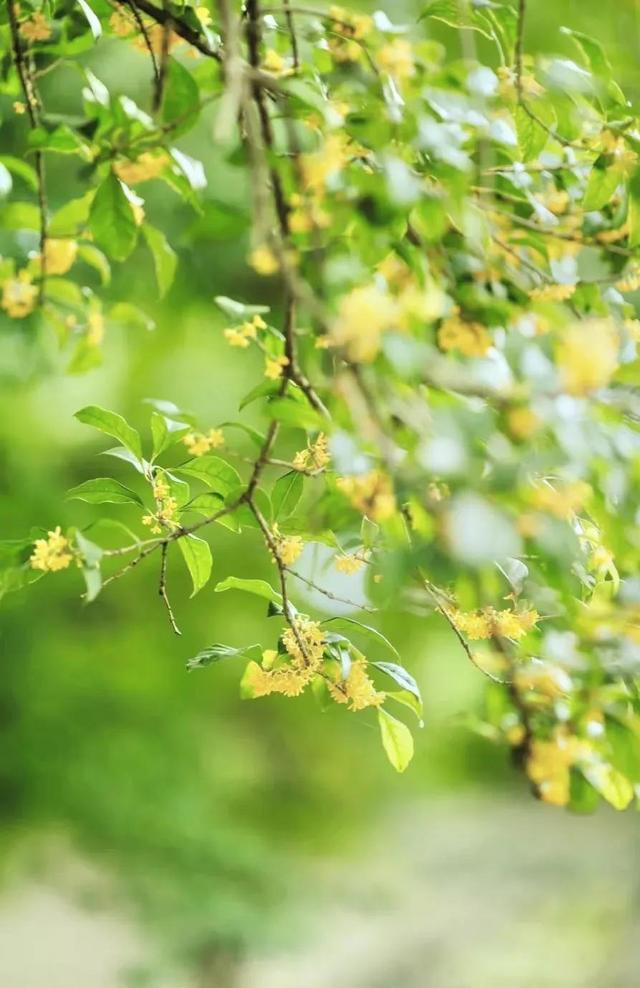 那些温暖的时光作文600字六年级围绕中心，那些温暖的时光作文600字六年级围绕中心结尾！