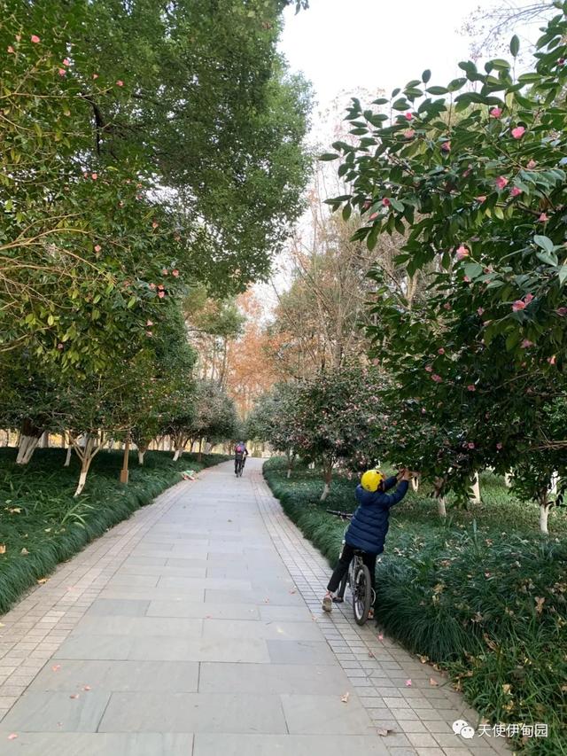 一厘米的阳光全文免费阅读，一厘米的阳光全文免费阅读无弹窗！