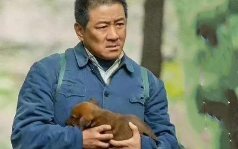 家有老爸电视剧在线观看，电视剧家有老爸全集！