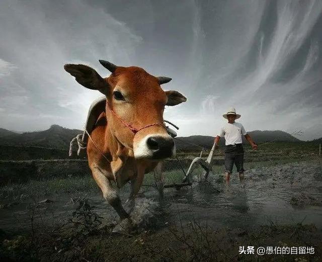 爷爷的妈妈应该叫什么，奶奶的爸爸应该叫什么！