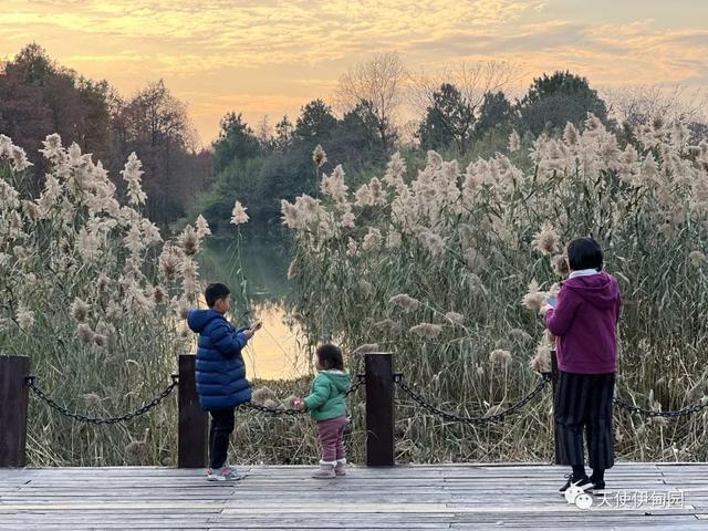一厘米的阳光全文免费阅读，一厘米的阳光全文免费阅读无弹窗！