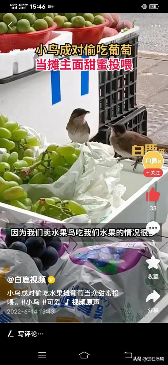 两个鸟的包是什么牌子,两个鸟的包包品牌!