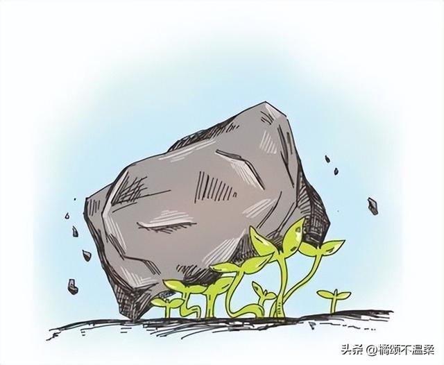 假如给我三天光明读后感400字作文，假如给我三天光明读后感作文400字左右！