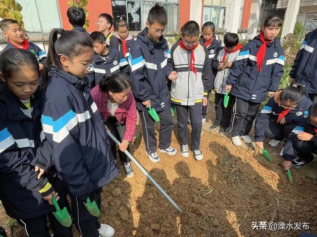 写观察日记400字四年级种蒜苗，种蒜观察日记四年级400字观察4次！