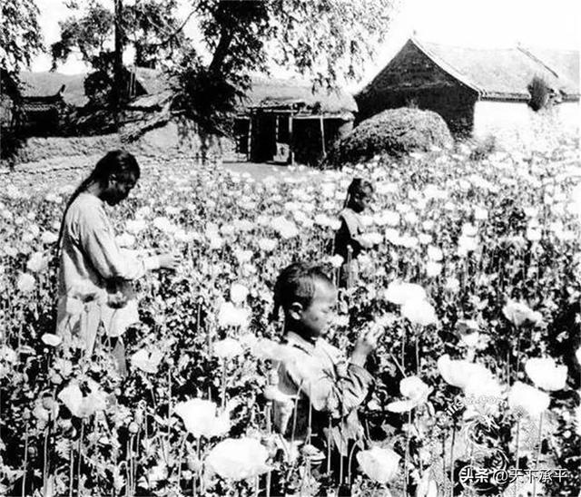 854年的一段屈辱史47名清朝幼女被英国商船带走贩卖，下场悲惨"