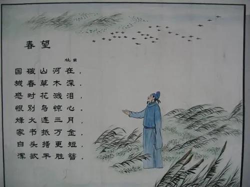 以生命为主题的设计色彩，寻找生命的色彩！