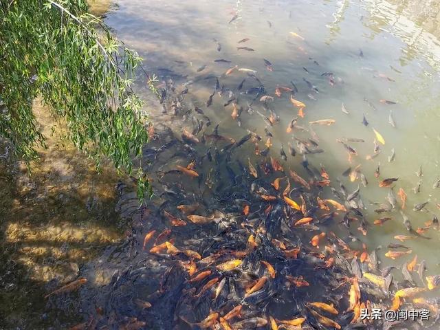 我奶奶是唯一全身而退的,风水师排行我奶奶是唯一全身而退的!