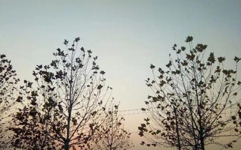 中国现代诗歌精选书籍有哪些，中国现代诗歌精选书籍目录！