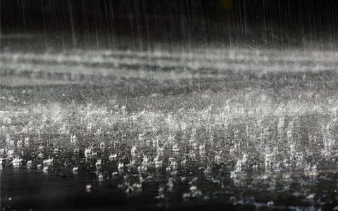 雨后作文300字，阳光总在风雨后作文300字！