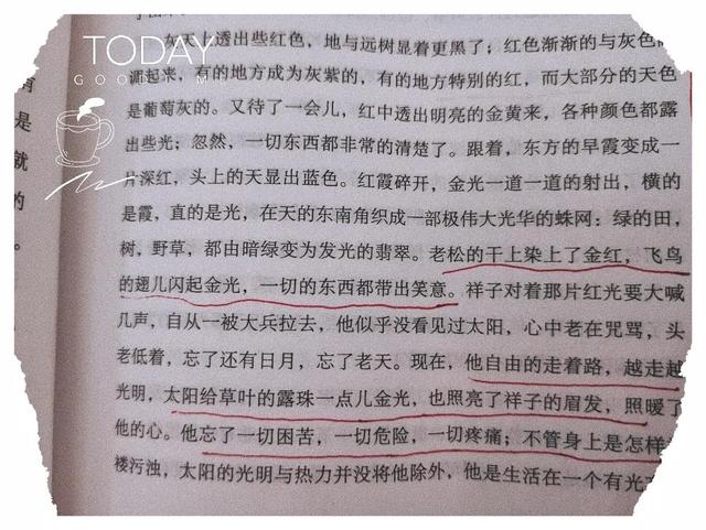 骆驼祥子读书笔记2000字，骆驼祥子读书笔记2000字大学篇！
