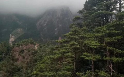 游黄山作文300字，游黄山作文300字三年级！