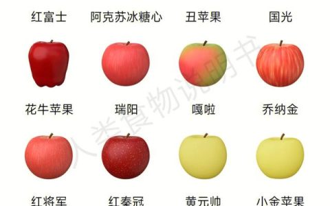 苹果介绍水果说明文，苹果介绍水果说明文自述！