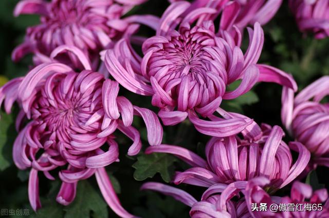 梦想在远方歌词李泰良，梦想在远方歌词是什么歌！