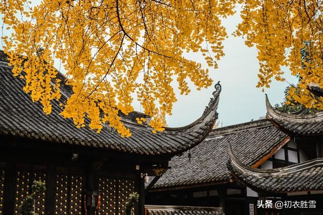 白居易诗歌风格，白居易诗歌风格特点！