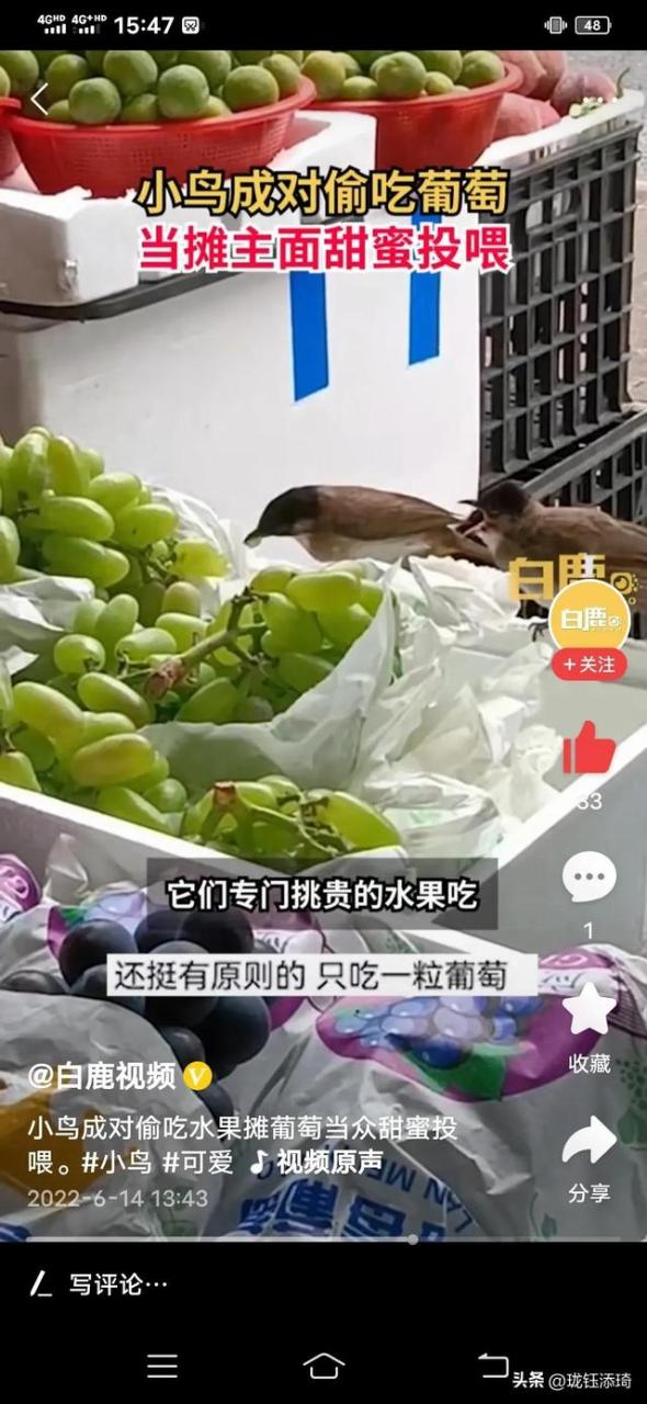 两个鸟的包是什么牌子,两个鸟的包包品牌!