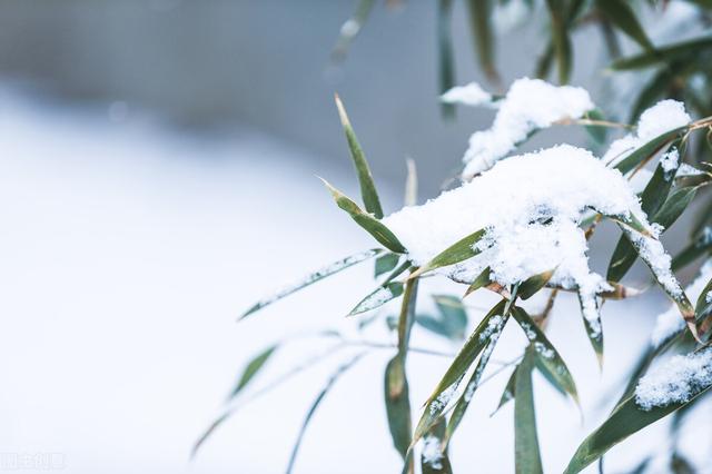 第一场雪的作文300字，第一场雪的作文300字左右！