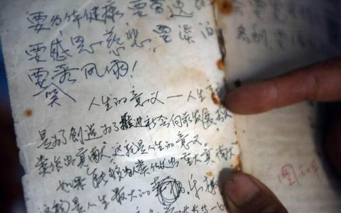蚕宝宝作文300字左右，蚕宝宝作文300字二年级！